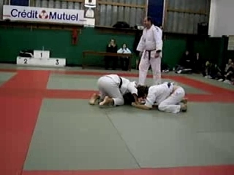 marion judo