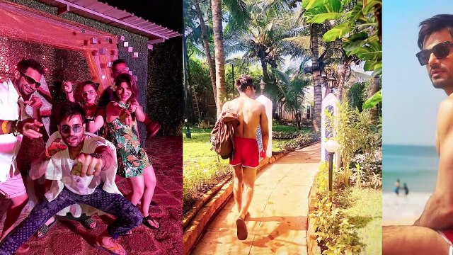 Divyanka Tripathi, Karan Wahi,Anita Hassanandani, Nia Sharma | TV Stars New Year Celebration 2019