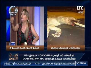 دينا ذو الفقار تنفعل على الهواء  : " الاطفال ينفذون طريقة الدولة فى التعذيب على الكلاب "