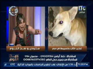 برنامج صح النوم | لقاء نارى حول تعذيب و تسميم و قتل الكلاب فى مصر - 15-5-2017