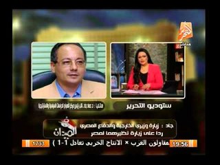 د/عماد جاد : العلاقات المصرية الأمريكية متوترة وهناك موقف عدائى منذ 30 يونيو