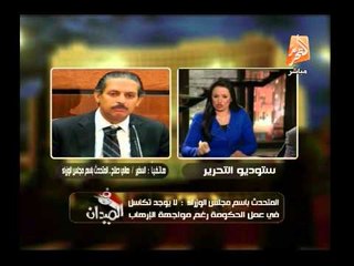 رانيا بدوى وضيفها يفحمان المتحدث لمجلس الوزراء بخصوص دور حكومة الببلاوى الهش فى إدارة الأزمات بمصر