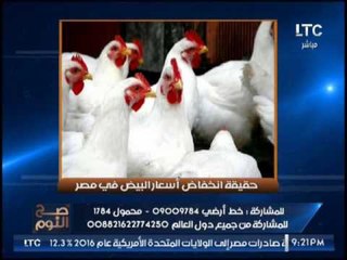 شاهد .. تعليق ساخرا بألفاظ خارجة لــ " الغيطى " عن إنخفاض أسعار البيض