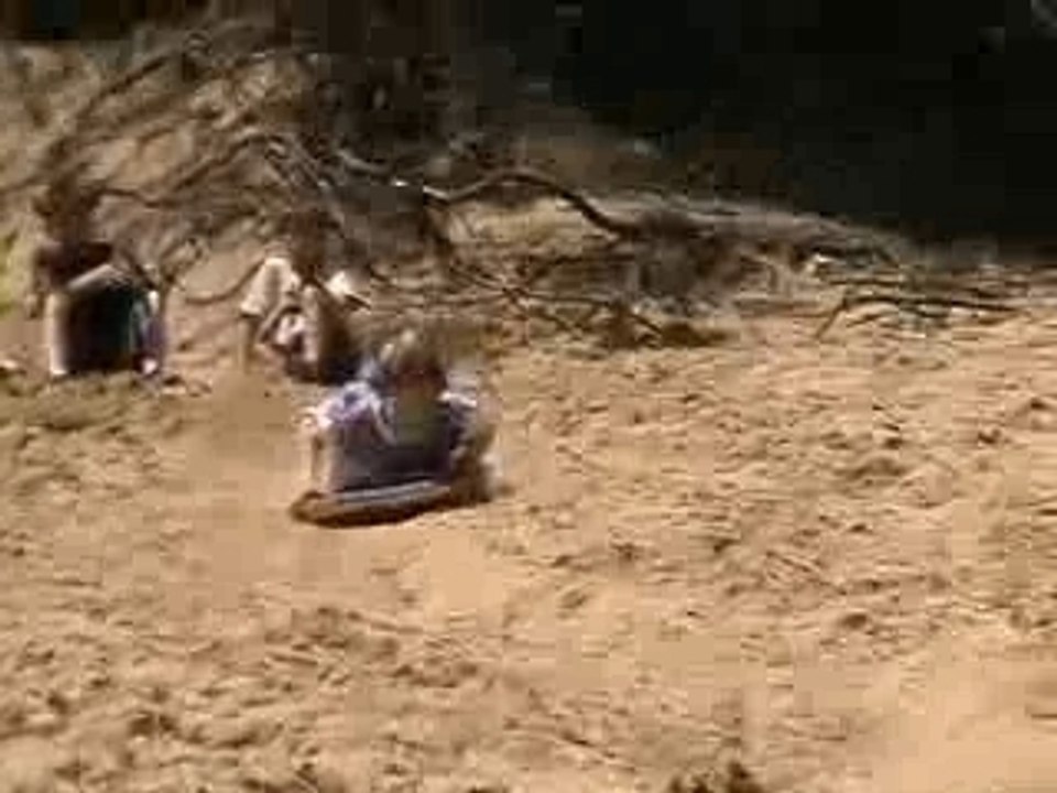 Les fous fous (2005)