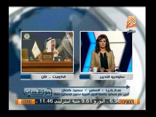 رأى أمين المستثمرين العرب وأمين مساعد الشئون الفلسطينية لتخفيض التمثيل لدول فى قمة الكويت