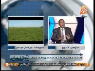 محمود بدوى: يتحدث عن فساد خصخصة قطاع الغزل فى مصر