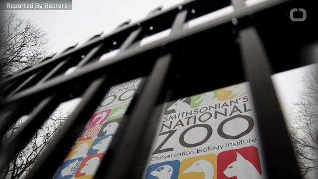 Government Shutdown Closes Museums And Zoos
