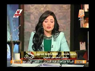 متابعات- تطورات أزمة قبيلتي الدابودية والهلالية وقطع الاتصالات والانترنت عن أسوان ووقفة للنوبيين