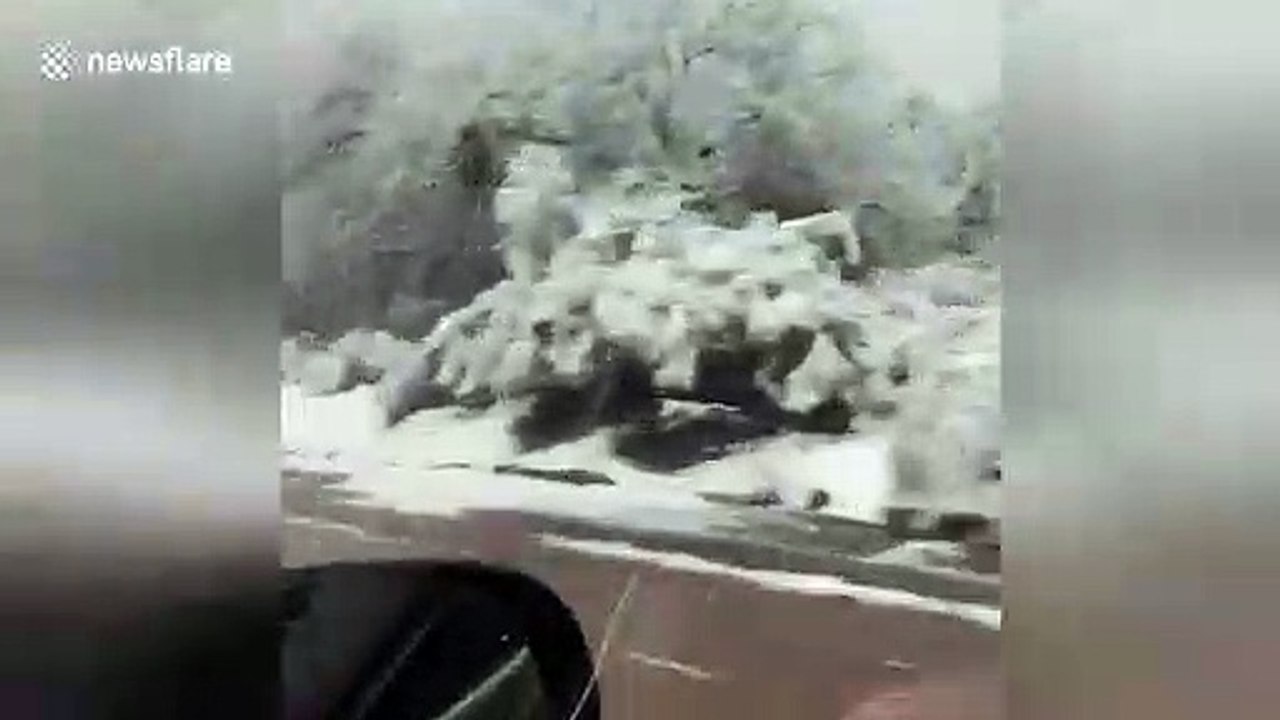 Tucson a winter wonderland as rare snow blankets Arizona city