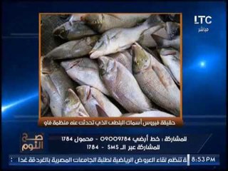 " صح النوم " يكشف فضيحة مدوية حول حقيقة إنتشار فيروس أسماك البلطى