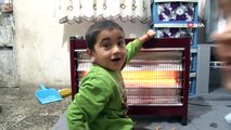 Tek gözlü odada yaşayan 7 kişilik Türkmen ailenin yaşam mücadelesi