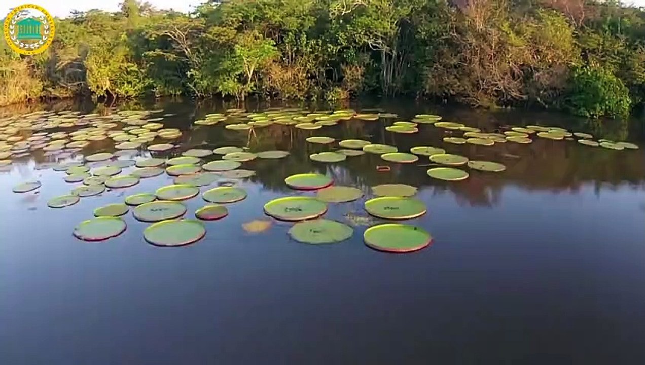 Study Medicine in Guyana ¦ Guyana Best Place for Medical Study ¦ Lincoln American University