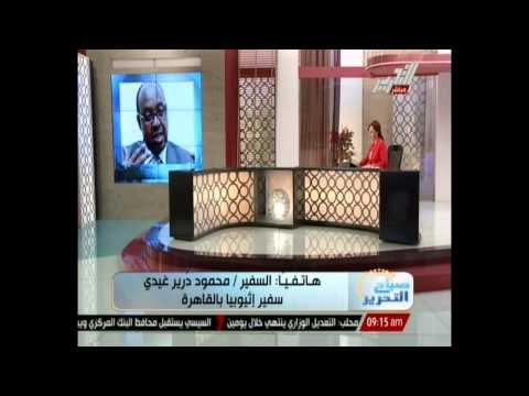 سفير أثيوبيا بالقاهرة: رئيس الوزراء الأثيوبي سيلتقي خلال الرئيس السيسي خلال اسبوعين