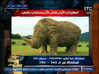 بالصور .. "صح النوم" يرصد إبداعات المهرجان الاول لقش الارز