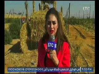 تقرير خاص عن مهرجان قش الارز السنوي بالعبور.. تقديم : ساره الشيمي