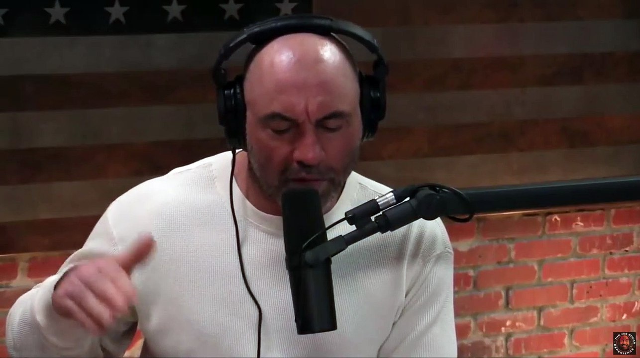 Joe Rogan - Why Was Frank Mir Punished Worse Than Jon Jones-