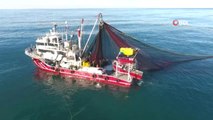Karadeniz'de Hamsinin Ardından Tezgahları İstavrit Balıkları Süslüyor