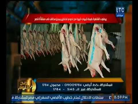 بالصور.. تحذير هام : لحوم الخنازير تُباع بتلك المطاعم علي انها كباب