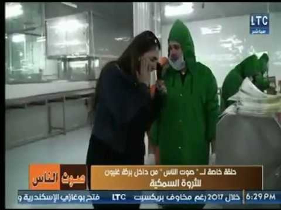 تعرف على مراحل إنتاج الأسماك وتنظيفها وتغليفها...