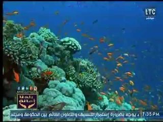 بلدنا امانة | تقرير " قطاع السياحة بين الواقع وماهو مأمول "