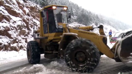 Karla mücadele çalışmaları - ADANA