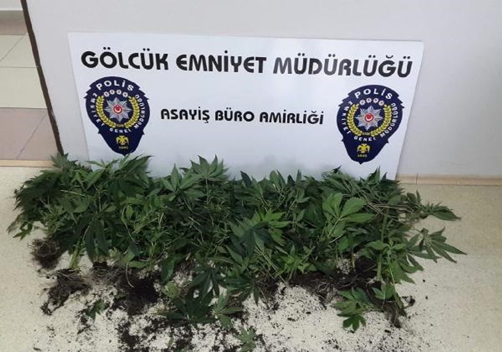 Çatı Katında Uyuşturucu İçin Özel Düzenek Kurmuş