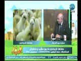 انفراد | قرار وزاري بالسماح لمنتجي الدواجن بالبناء بالاراضي الجديده