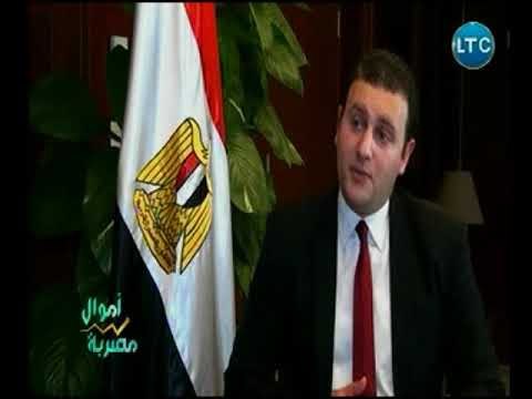 نائب رئيس هيئة الرقابة المالية يوضح دور الشمول المالي في دعم التربية والتعليم والتعليم العالي