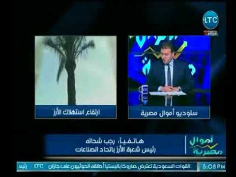 رئيس شعبة الأرز وبشرة خاصة للمواطنين بخصوص نقص وارتفاع اسعار الأرز بالأسواق