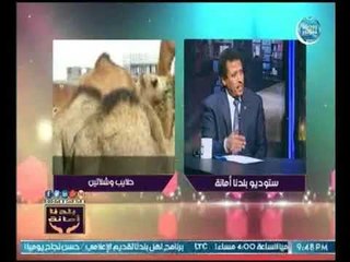 النائب ممدوح عباس يوضح أهم مميزات حلايب وشلاتين ودورها في زيادة الثروة السمكية في مصر