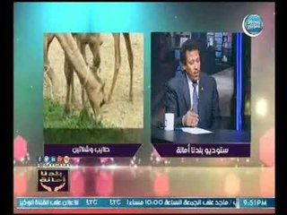 النائب ممدوح عمارة عن إرتفاع أسعار المترو : السيسي يستخدم الحلول الجذرية وليست المسكنات