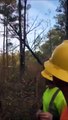 Ces bucherons ont une mauvaise surprise en abattant un arbre dans la forêt !