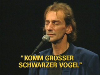 Ludwig Hirsch - Komm großer schwarzer Vogel