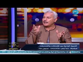 أستاذ اقتصاد يفجر مفاجأة كبيرة حول طرح الخضروات بالأسواق عقب رشها بالمبيدات مباشرة