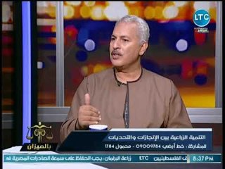 نقيب الفلاحين يكشف مفاجأة حول الزيادة الكبيرة لمساحات زراعة القطن المصري خلال العام الحالي