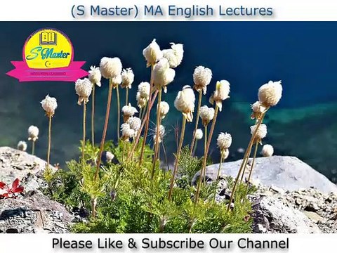 Marginalia By Richard Wilbur Summary, Briefly Lecture By S Master (MA English Lectures)