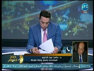 المتحدث الرسمي للزراعة يكشف عن كواليس تصدي الوزارة لهجوم النمل الأبيض