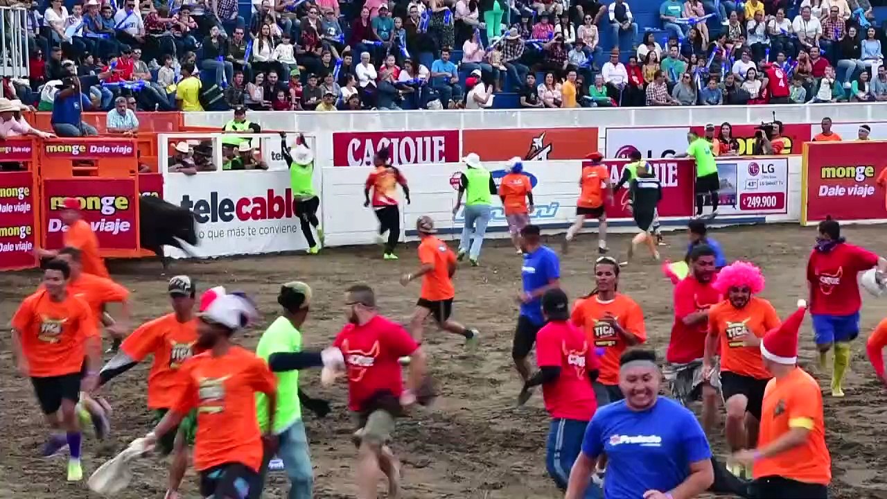 Costa Rican bullfighters celebrate end of year festival