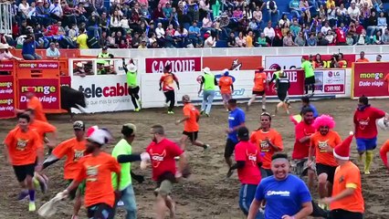 Costa Rican bullfighters celebrate end of year festival