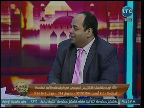 خبير إقتصادي يكشف عن دور زيارة الرئيس لنيويورك لعرض التجربة المصرية في جذب الإستثمار