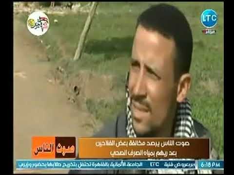 كاميرا صوت الناس ترصد كارثة مخالفة بعض الفلاحين بعد ريهم بمياة الصرف الصحي