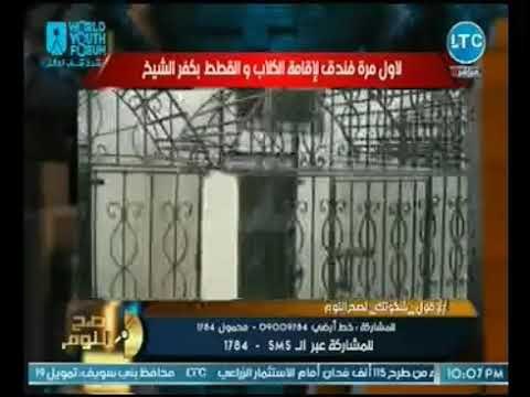 وكيل الطب البيطري بكفر الشيخ يكشف تفاصيل افتتاح اول فندق للكلاب