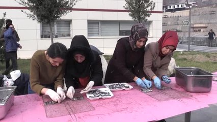 Açü'de Hamsi Şenliği