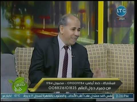 داعية إسلامي يكشف هل الإحتفال بالمولد النبوي الشريف بدعة ؟