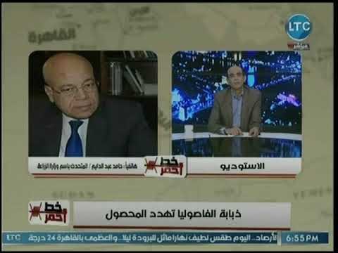 متحدث وزارة الزراعة يكشف كواليس تحركات وزارة الزراعة لمواجهة سوسة الفاصوليا
