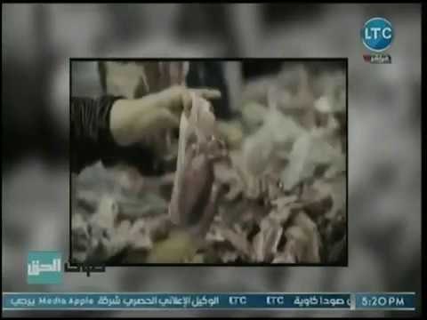 كارثة مدووية .. نجوى الجرجاوي تقتحم أوكار تربية الخنازير والكلاب لبيعها للمطاعم