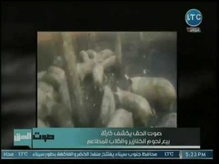 صوت الحق | مع نجوى الجرجاوي تخترق خلالها أوكار تجارة الخنازير والكلاب وبيعها للمطاعم 21-11-2018