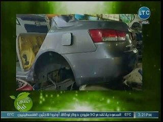 ميار الببلاوي يكشف عن موقف غريب قام به شاب لحماية قطة وخسارته 15 ألف جنيها