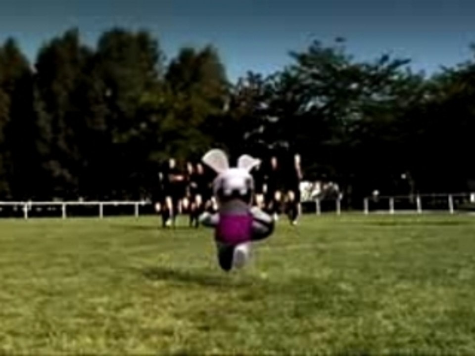 Les lapins crétins rugby