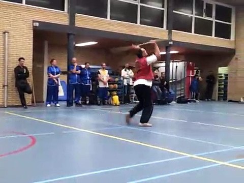 Shaolin Staff Gun Martial Arts Bo Staff